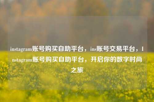 instagram账号购买自助平台，ins账号交易平台，Instagram账号购买自助平台，开启你的数字时尚之旅