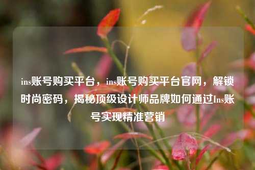 ins账号购买平台，ins账号购买平台官网，解锁时尚密码，揭秘顶级设计师品牌如何通过Ins账号实现精准营销