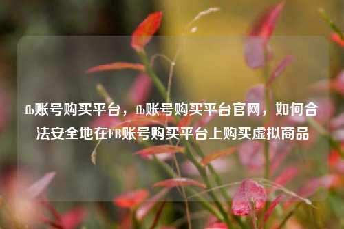 fb账号购买平台，fb账号购买平台官网，如何合法安全地在FB账号购买平台上购买虚拟商品