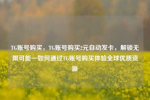 TG账号购买，TG账号购买2元自动发卡，解锁无限可能—如何通过TG账号购买体验全球优质资源