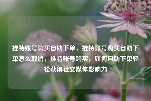 推特账号购买自助下单，推特账号购买自助下单怎么取消，推特账号购买，如何自助下单轻松获得社交媒体影响力