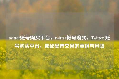 twitter账号购买平台，twitter帐号购买，Twitter 账号购买平台，揭秘黑市交易的真相与风险