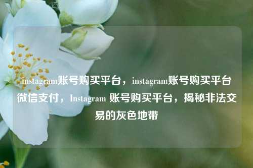 instagram账号购买平台，instagram账号购买平台微信支付，Instagram 账号购买平台，揭秘非法交易的灰色地带