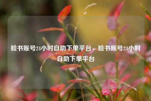 脸书账号24小时自助下单平台，脸书账号24小时自助下单平台
