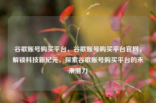 谷歌账号购买平台，谷歌账号购买平台官网，解锁科技新纪元，探索谷歌账号购买平台的未来潜力