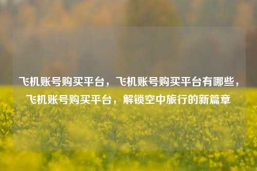 飞机账号购买平台，飞机账号购买平台有哪些，飞机账号购买平台，解锁空中旅行的新篇章