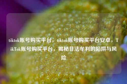 tiktok账号购买平台，tiktok账号购买平台安卓，TikTok账号购买平台，揭秘非法牟利的陷阱与风险