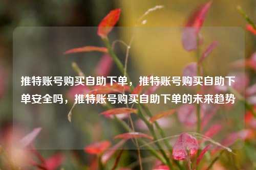推特账号购买自助下单，推特账号购买自助下单安全吗，推特账号购买自助下单的未来趋势