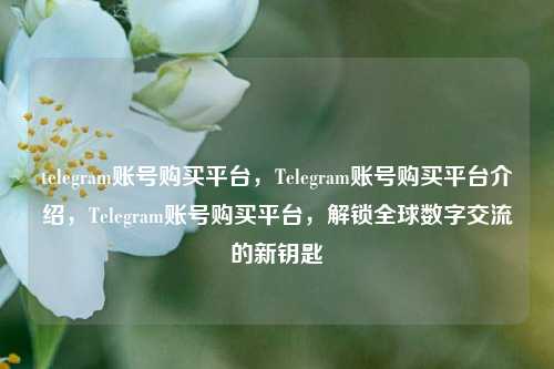 telegram账号购买平台，Telegram账号购买平台介绍，Telegram账号购买平台，解锁全球数字交流的新钥匙