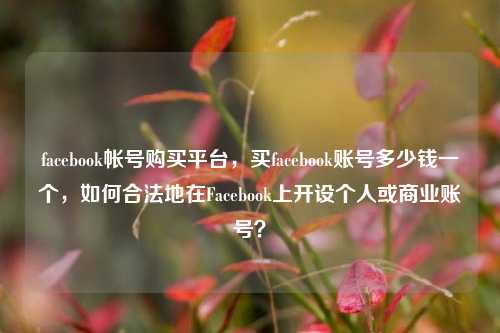 facebook帐号购买平台，买facebook账号多少钱一个，如何合法地在Facebook上开设个人或商业账号？
