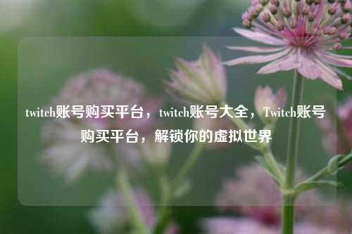 twitch账号购买平台，twitch账号大全，Twitch账号购买平台，解锁你的虚拟世界
