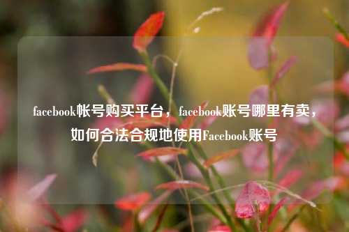 facebook帐号购买平台，facebook账号哪里有卖，如何合法合规地使用Facebook账号