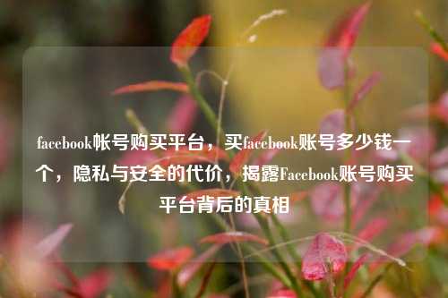 facebook帐号购买平台，买facebook账号多少钱一个，隐私与安全的代价，揭露Facebook账号购买平台背后的真相