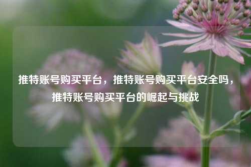 推特账号购买平台，推特账号购买平台安全吗，推特账号购买平台的崛起与挑战
