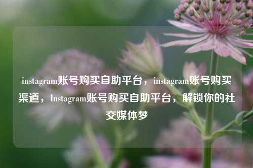 instagram账号购买自助平台，instagram账号购买渠道，Instagram账号购买自助平台，解锁你的社交媒体梦
