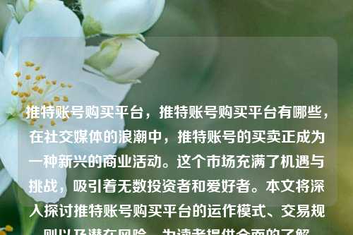 推特账号购买平台，推特账号购买平台有哪些，在社交媒体的浪潮中，推特账号的买卖正成为一种新兴的商业活动。这个市场充满了机遇与挑战，吸引着无数投资者和爱好者。本文将深入探讨推特账号购买平台的运作模式、交易规则以及潜在风险，为读者提供全面的了解