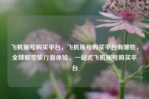 飞机账号购买平台，飞机账号购买平台有哪些，全球航空旅行新体验，一站式飞机账号购买平台
