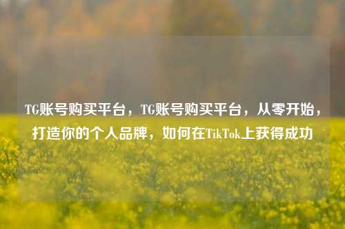 TG账号购买平台，TG账号购买平台，从零开始，打造你的个人品牌，如何在TikTok上获得成功