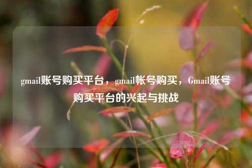 gmail账号购买平台，gmail帐号购买，Gmail账号购买平台的兴起与挑战