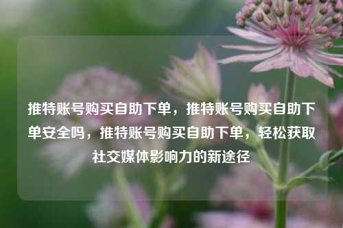 推特账号购买自助下单，推特账号购买自助下单安全吗，推特账号购买自助下单，轻松获取社交媒体影响力的新途径