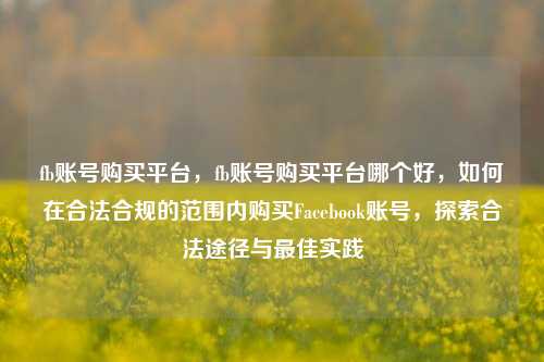 fb账号购买平台，fb账号购买平台哪个好，如何在合法合规的范围内购买Facebook账号，探索合法途径与最佳实践