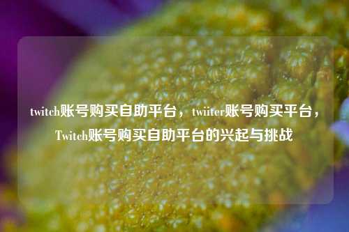 twitch账号购买自助平台，twiiter账号购买平台，Twitch账号购买自助平台的兴起与挑战