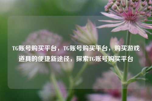 TG账号购买平台，TG账号购买平台，购买游戏道具的便捷新途径，探索TG账号购买平台