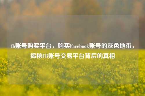 fb账号购买平台，购买Facebook账号的灰色地带，揭秘FB账号交易平台背后的真相