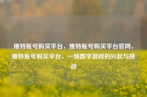 推特账号购买平台，推特账号购买平台官网，推特账号购买平台，一场数字游戏的兴起与挑战
