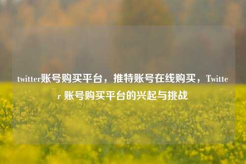 twitter账号购买平台，推特账号在线购买，Twitter 账号购买平台的兴起与挑战