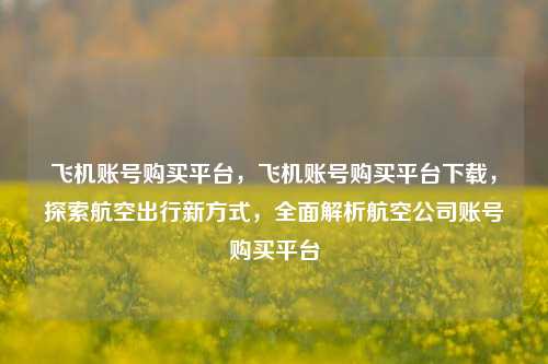 飞机账号购买平台，飞机账号购买平台下载，探索航空出行新方式，全面解析航空公司账号购买平台