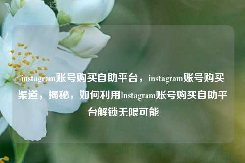 instagram账号购买自助平台，instagram账号购买渠道，揭秘，如何利用Instagram账号购买自助平台解锁无限可能