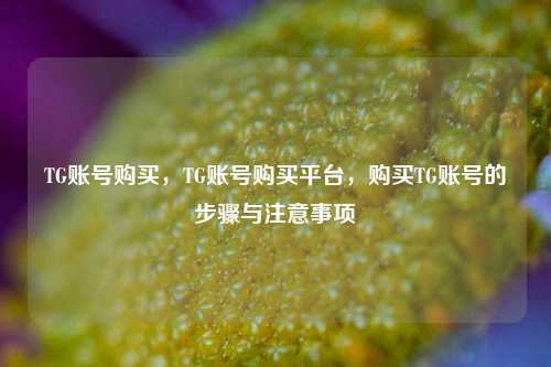 TG账号购买，TG账号购买平台，购买TG账号的步骤与注意事项
