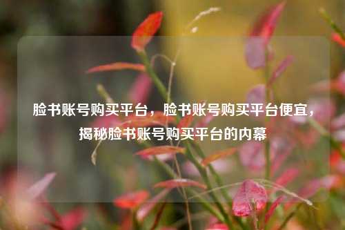 脸书账号购买平台，脸书账号购买平台便宜，揭秘脸书账号购买平台的内幕