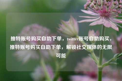 推特账号购买自助下单，twitter账号自助购买，推特账号购买自助下单，解锁社交媒体的无限可能