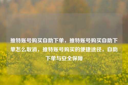 推特账号购买自助下单，推特账号购买自助下单怎么取消，推特账号购买的便捷途径，自助下单与安全保障