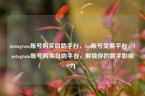 instagram账号购买自助平台，ins账号交易平台，Instagram账号购买自助平台，解锁你的数字影响力