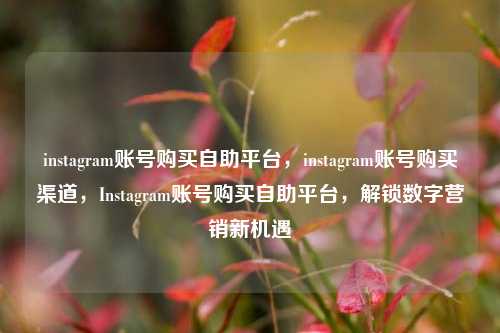 instagram账号购买自助平台，instagram账号购买渠道，Instagram账号购买自助平台，解锁数字营销新机遇