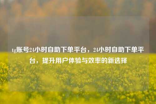 tg账号24小时自助下单平台，24小时自助下单平台，提升用户体验与效率的新选择