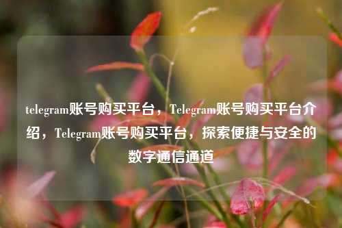 telegram账号购买平台，Telegram账号购买平台介绍，Telegram账号购买平台，探索便捷与安全的数字通信通道