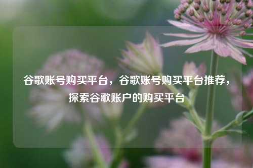谷歌账号购买平台，谷歌账号购买平台推荐，探索谷歌账户的购买平台