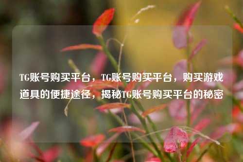 TG账号购买平台，TG账号购买平台，购买游戏道具的便捷途径，揭秘TG账号购买平台的秘密