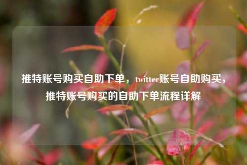 推特账号购买自助下单，twitter账号自助购买，推特账号购买的自助下单流程详解