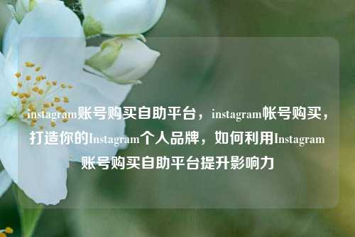 instagram账号购买自助平台，instagram帐号购买，打造你的Instagram个人品牌，如何利用Instagram账号购买自助平台提升影响力