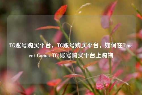 TG账号购买平台，TG账号购买平台，如何在Tencent Games TG)账号购买平台上购物