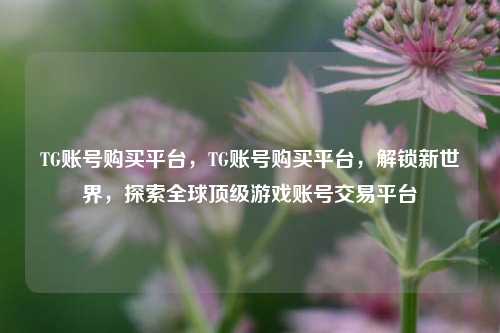TG账号购买平台，TG账号购买平台，解锁新世界，探索全球顶级游戏账号交易平台