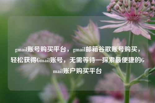 gmail账号购买平台，gmail邮箱谷歌账号购买，轻松获得Gmail账号，无需等待—探索最便捷的Gmail账户购买平台