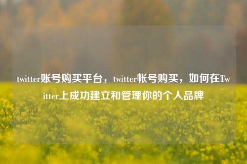 twitter账号购买平台，twitter帐号购买，如何在Twitter上成功建立和管理你的个人品牌