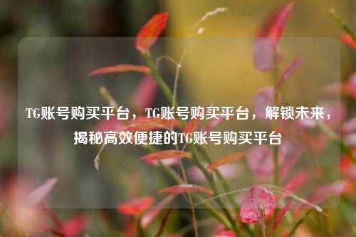 TG账号购买平台，TG账号购买平台，解锁未来，揭秘高效便捷的TG账号购买平台