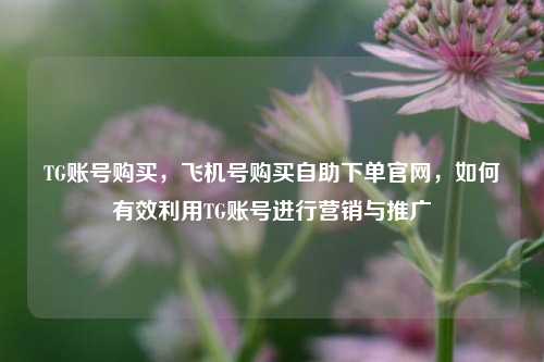 TG账号购买，飞机号购买自助下单官网，如何有效利用TG账号进行营销与推广